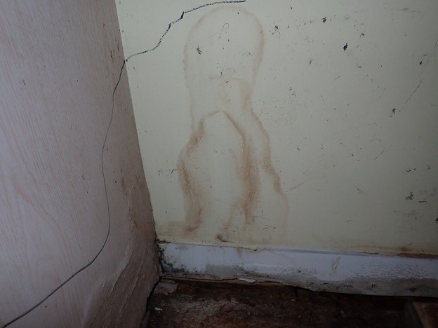 Photo 2 20 19090057 0 Drywall Stain With Two Concentric Boundaries
