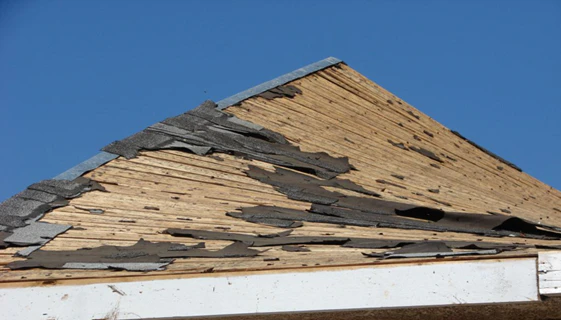 Photo 3 Donan Wind Loads Png